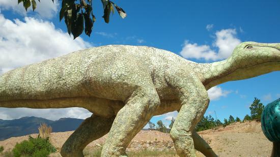 Gondava