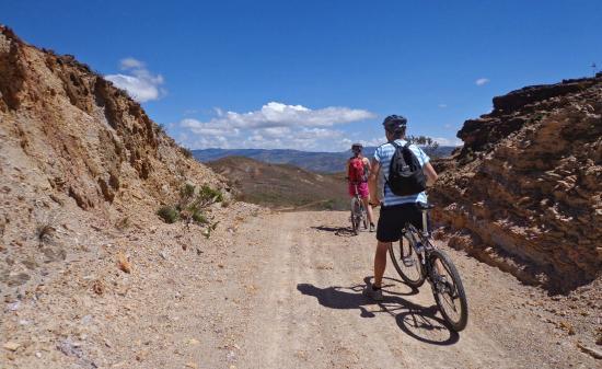 Ciclotrip Tours & Bicycle Rental