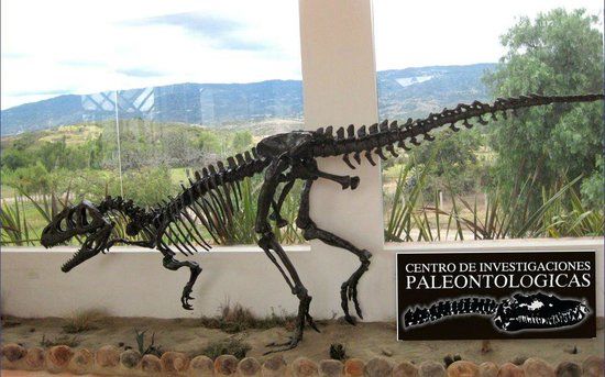 Centro de Investigaciones Paleontológicas